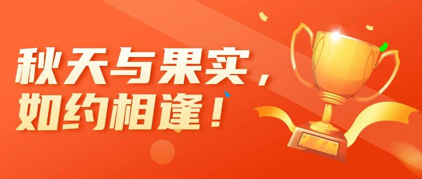 理想连线